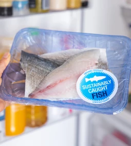Halpástétom készítése fenntartható módon, trendek és tippek