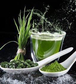 A spirulina miért számít szuperélelmiszernek?