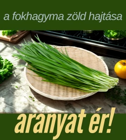 Zöld fokhagymaszár – egy igazi mediterrán íz