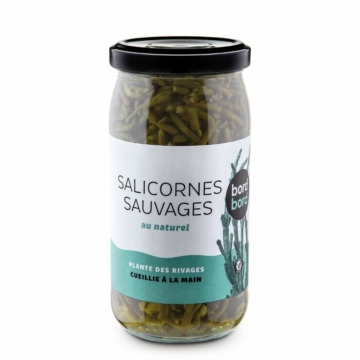 Salicornia tengeri alga tengervízben bio