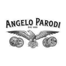 Angelo Parodi